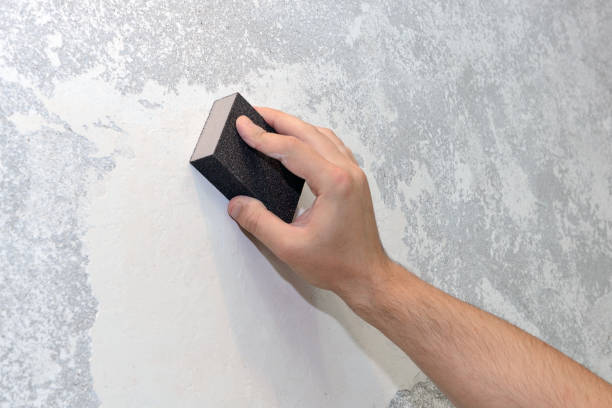 Best Mold Remediation for Healthcare Facilities  in Darrington, WA