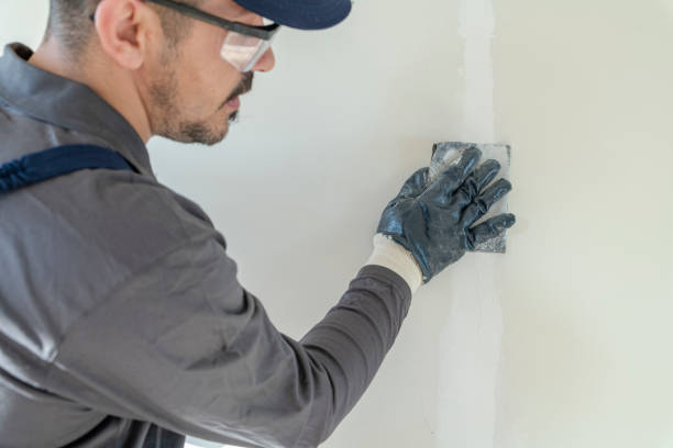 Best Water Damage & Mold Remediation  in Darrington, WA