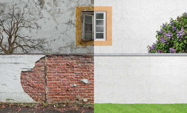 Best Forensic Mold Investigation  in Darrington, WA