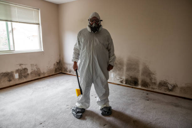 Best Water Damage & Mold Remediation  in Darrington, WA